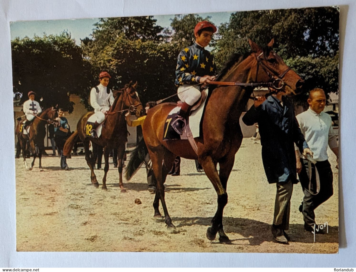 CP - L'hippodrome De Maisons-Laffitte Couleurs Et Lumières De France - Horse Show