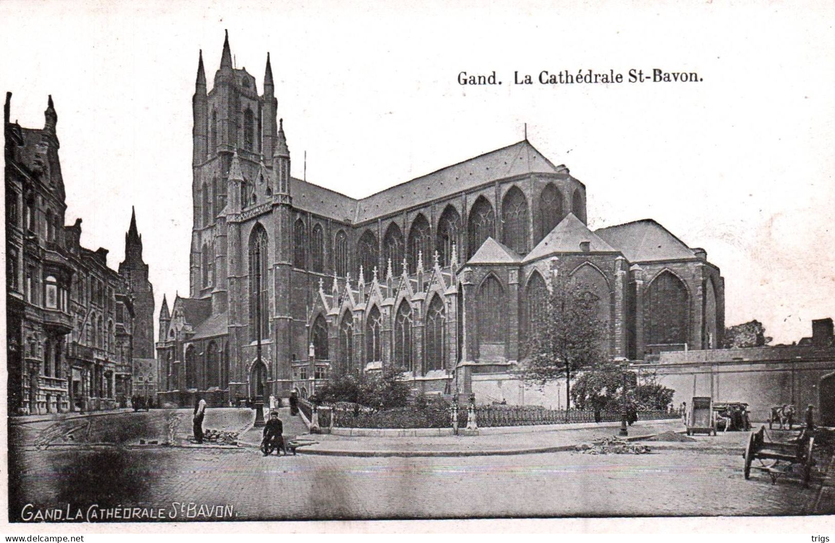 Gand - La Cathédrale St. Bavon - Gent