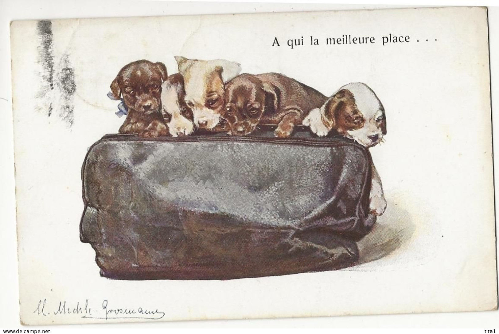 211 - Chiens - A Qui La Meilleure Place - Hunde