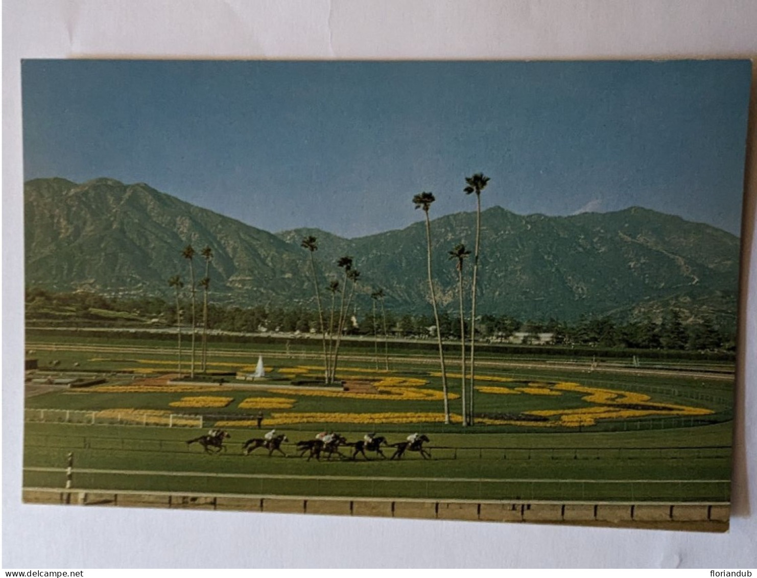 CP USA  -  Hippisme Turf  Hippodrome Santa Anita Park Arcadia Calif - Reitsport