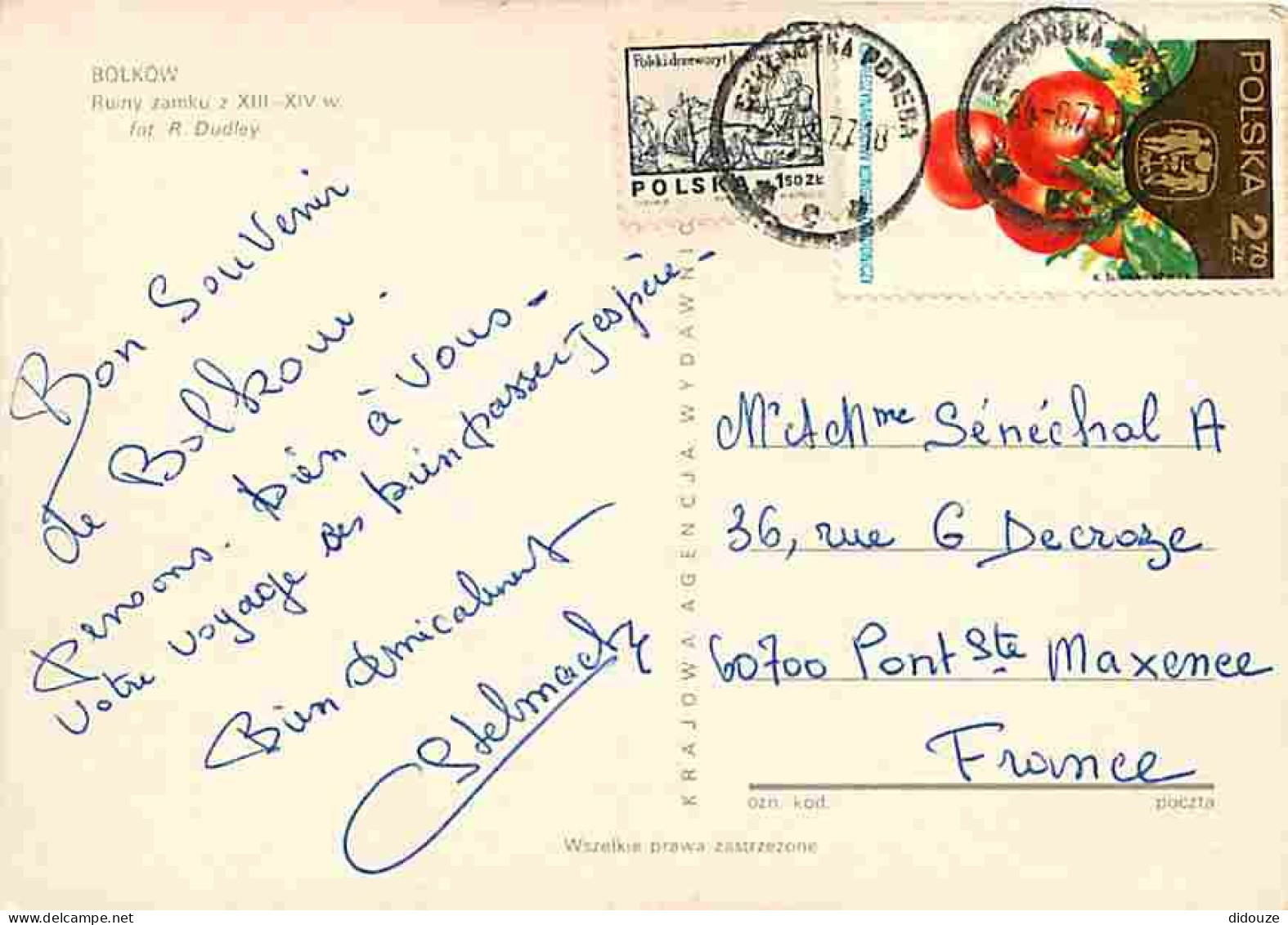 Pologne - Bolkow - Ruiny Zamku Z - Chateaux - Voir Timbre De Pologne - Etat Léger Pli Visible - CPM - Voir Scans Recto-V - Pologne