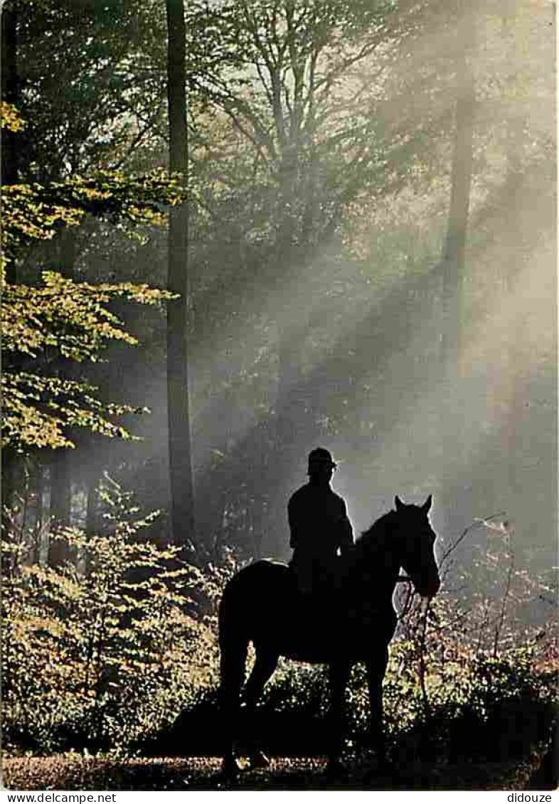 Animaux - Chevaux - Promenade Equestre En Foret - Carte Neuve - CPM - Voir Scans Recto-Verso - Pferde