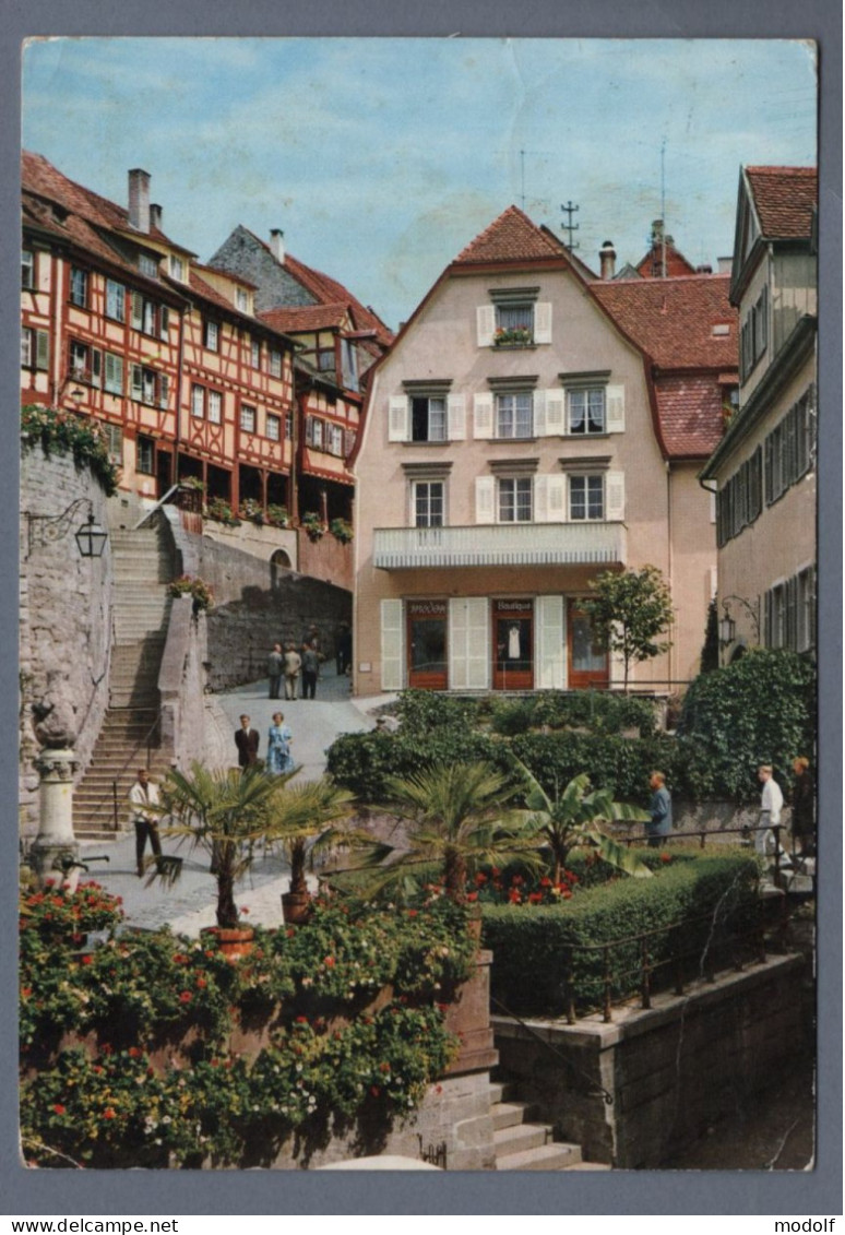 CPM - Allemagne - Meersburg Am Bodensee - Steigstrasse Beim Bärenbrunnen - Circulée - Meersburg