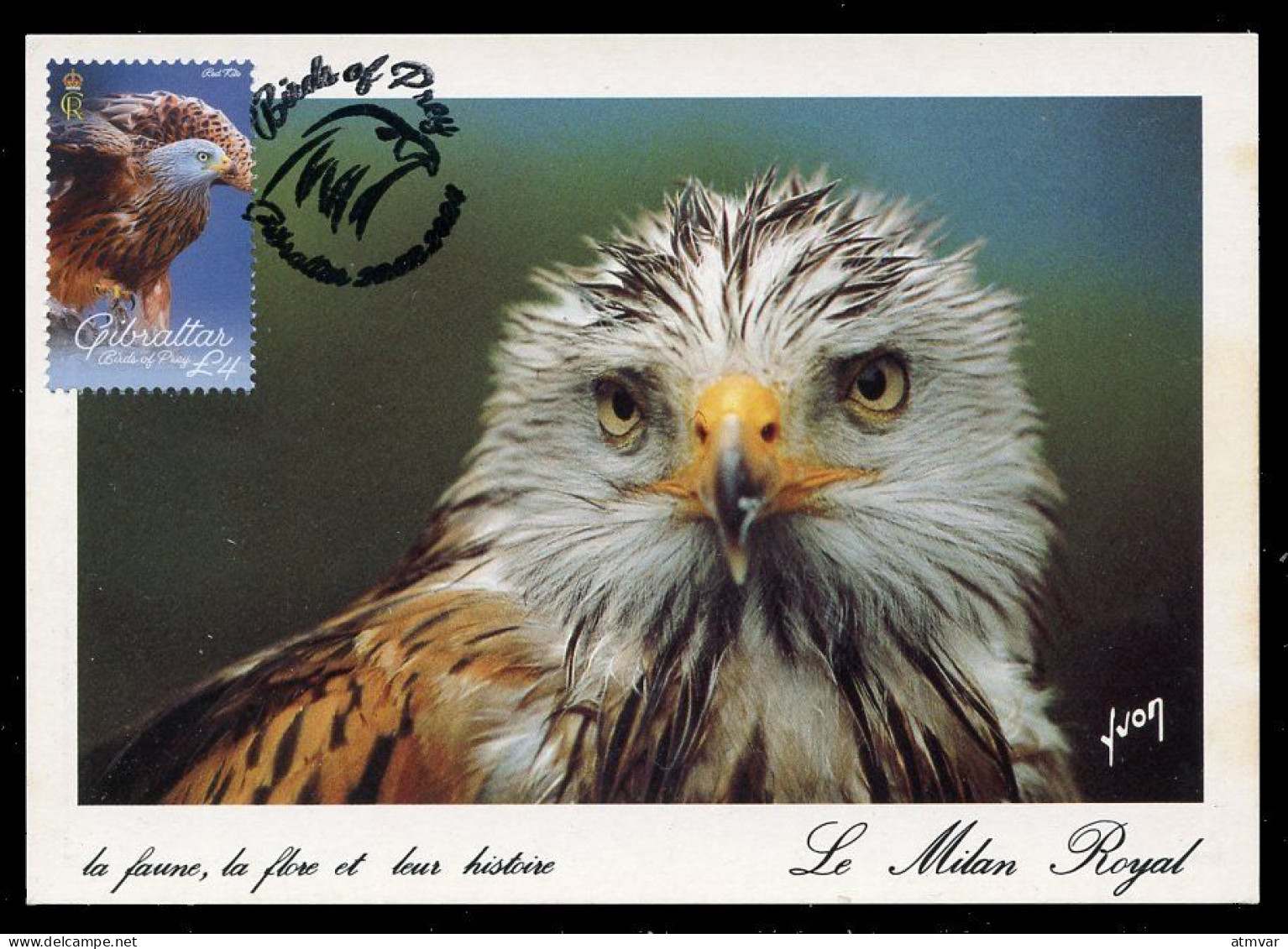 GIBRALTAR (2024) Carte Maximum Card - Birds Of Prey - Red Kite, Milvus Milvus, Milan Royal, Rotmilan, Milano Real - Gibraltar