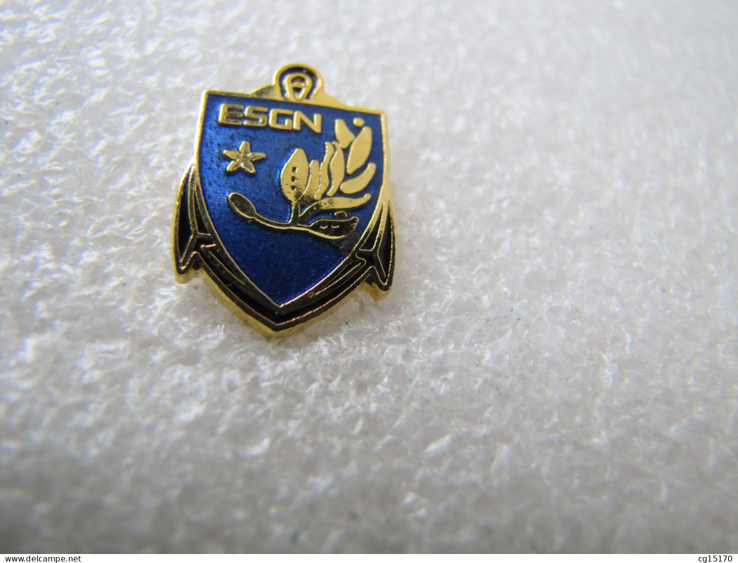 PIN'S   MILITARIA  GENDARMERIE   E S G N      Email Grand Feu - Militares