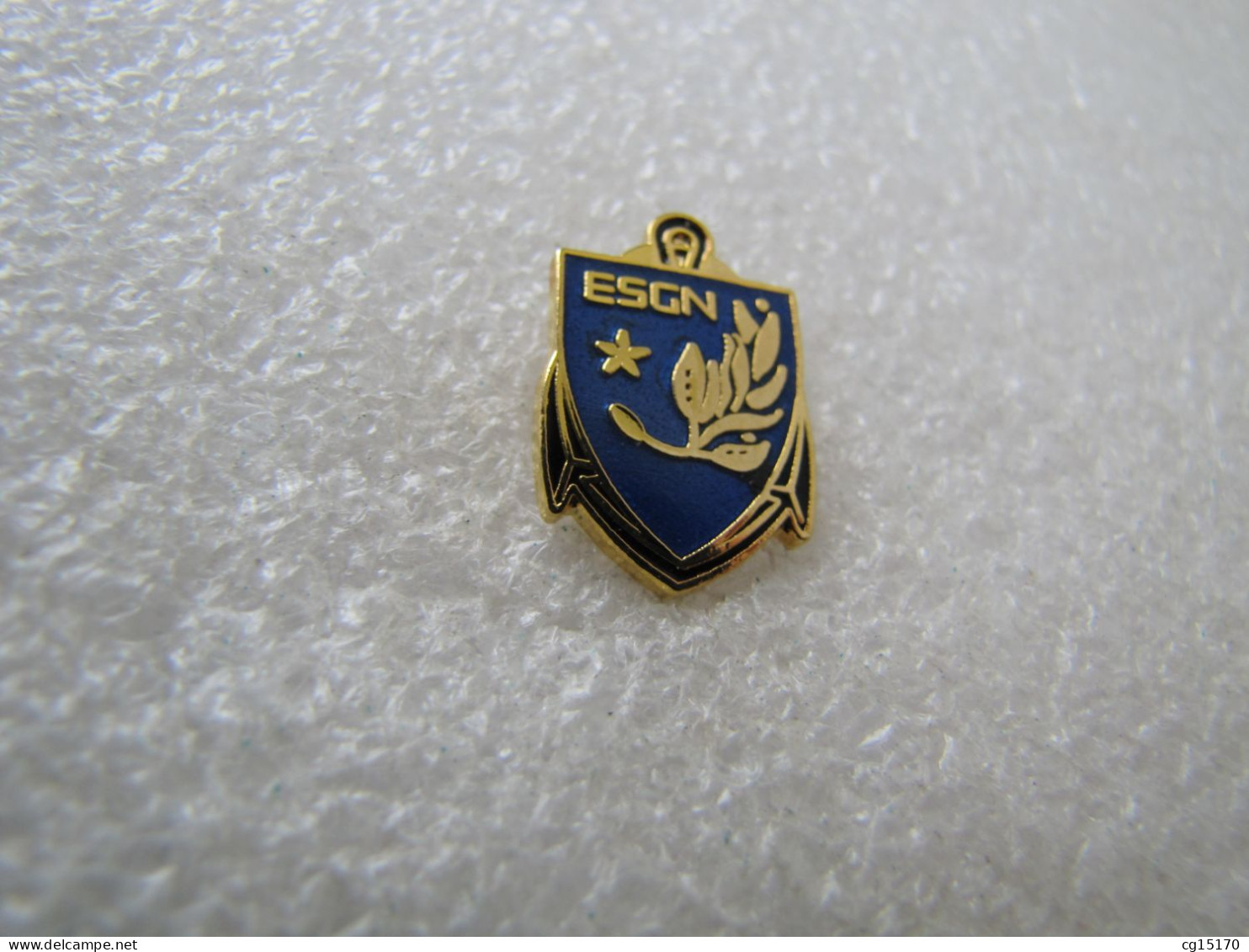 PIN'S   MILITARIA  GENDARMERIE   E S G N      Email Grand Feu - Armee