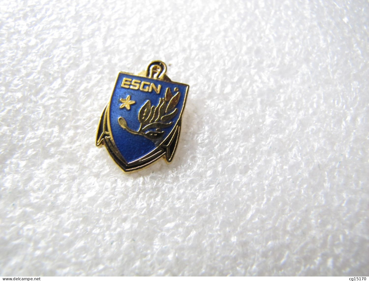 PIN'S   MILITARIA  GENDARMERIE   E S G N      Email Grand Feu - Army