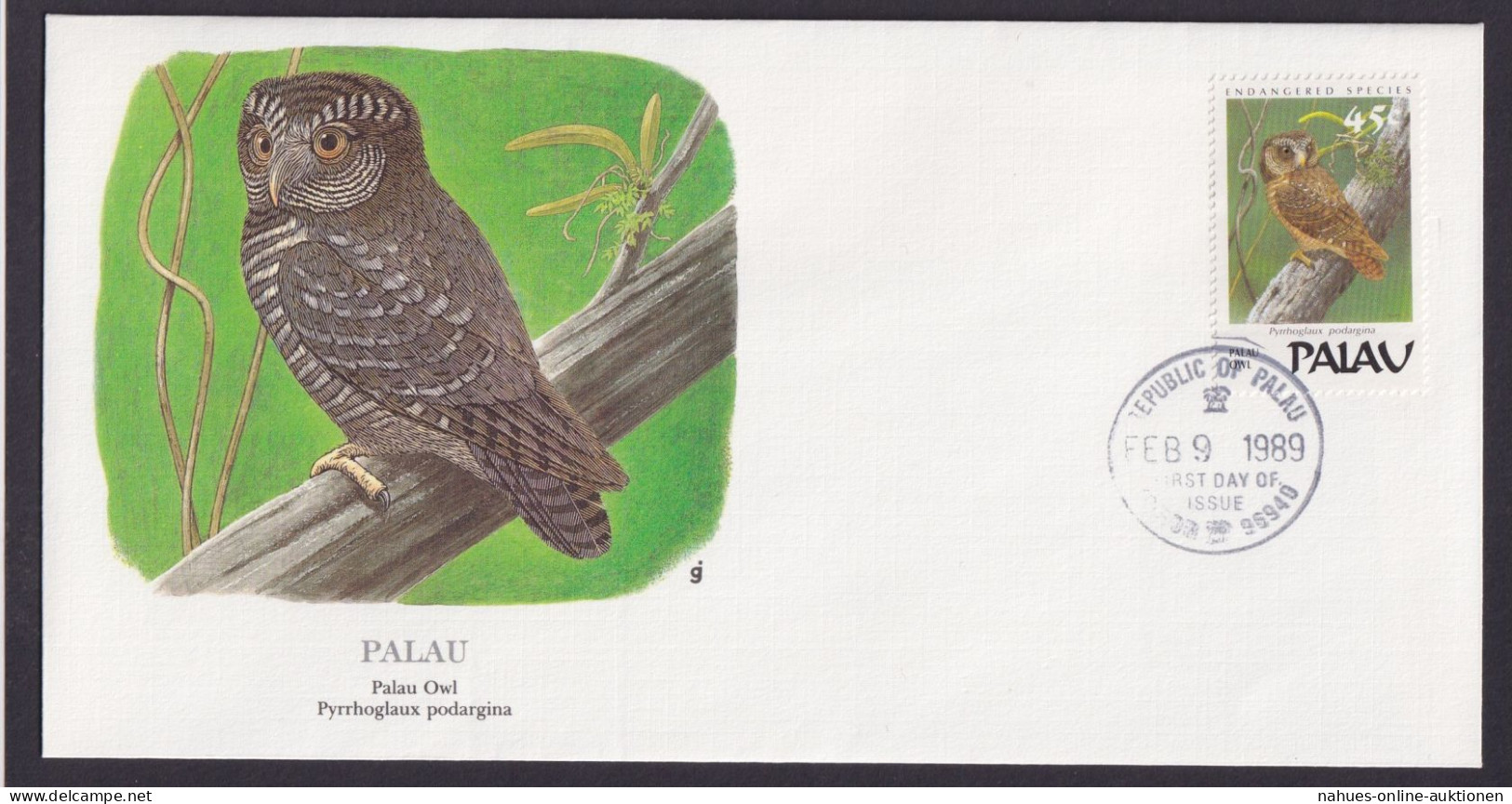 Palau Übersee Ozeanien Tiere Vögel Greifvögel Palau Eule Schöner Künstler Brief - Palau