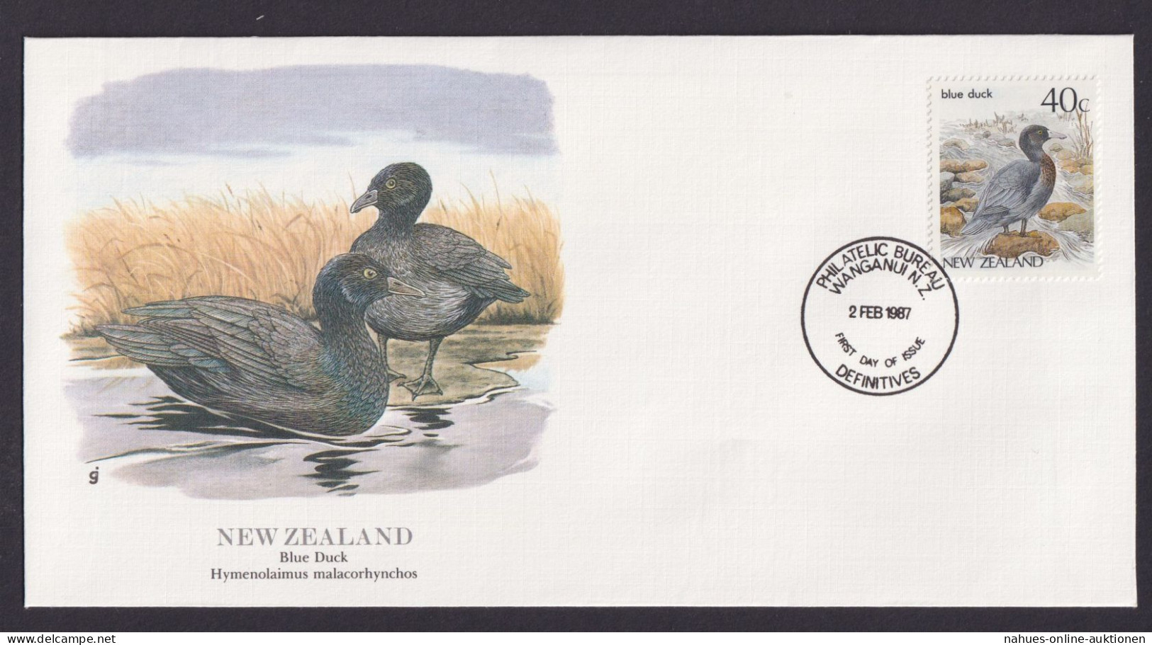 New Zealand Neuseeland Ozeanien Fauna Blauente Schöner Künstler Brief - Lettres & Documents