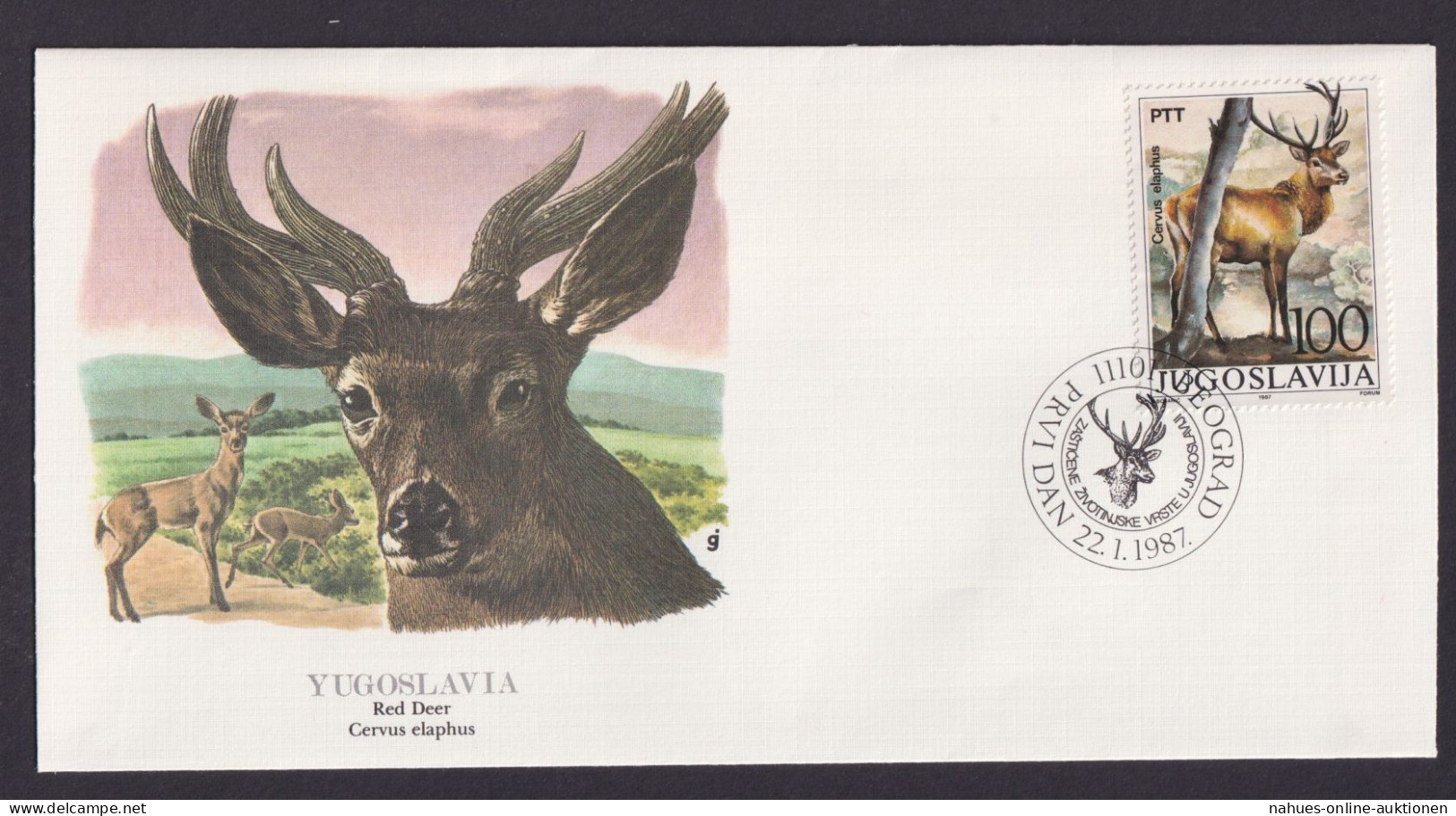 Yugoslavia Jugoslawien Fauna Rotwild Schöner Künstler Brief - Storia Postale