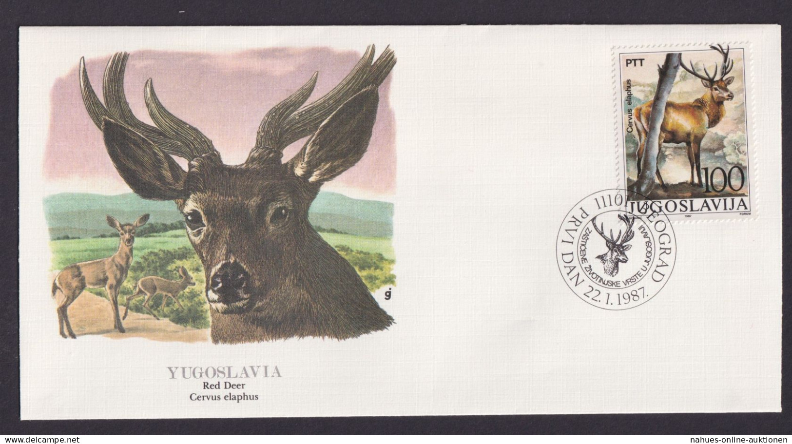 Yugoslavia Jugoslawien Fauna Rotwild Schöner Künstler Brief - Cartas & Documentos