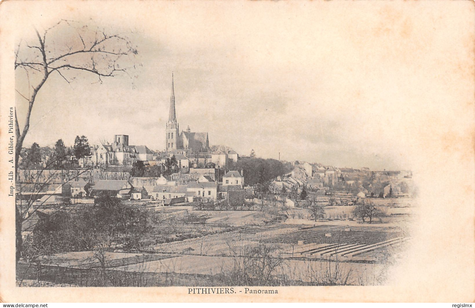 45-PITHIVIERS-N°T1149-A/0339 - Pithiviers