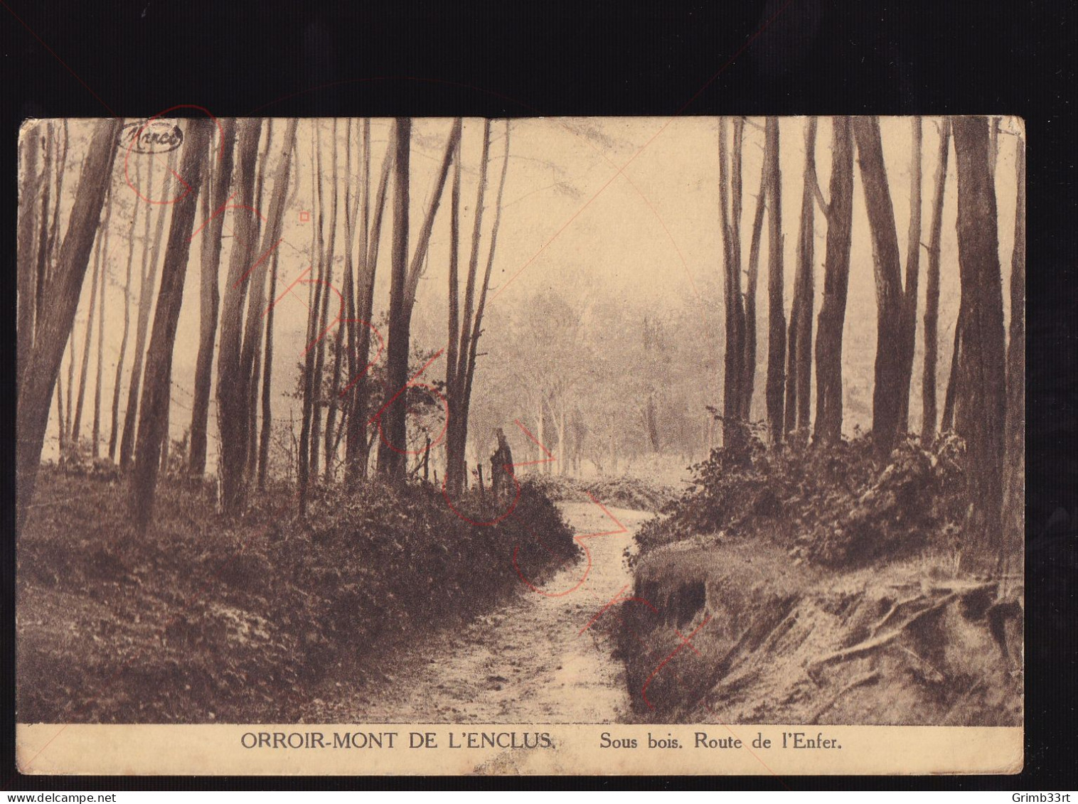 Orroir-Mont De L'Enclus - Sous Bois - Route De L'Enfer - Postkaart - Mont-de-l'Enclus