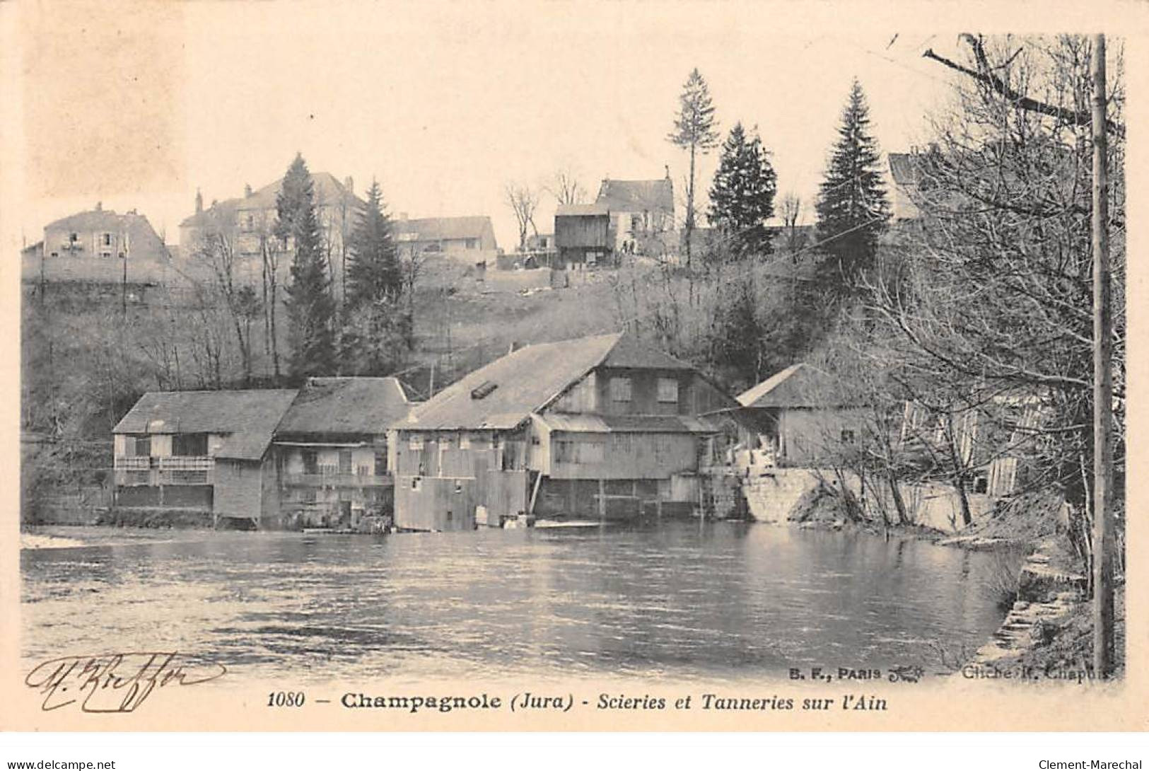 CHAMPAGNOLE - Scieries Et Tanneries Sur L'Ain - Très Bon état - Champagnole
