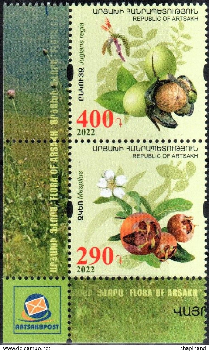 Artsakh 2022 "Flora Of Artsakh.Preservation Of The Widlife.Medlar & Walnut" 2v Zd Quality:100% - Armenien