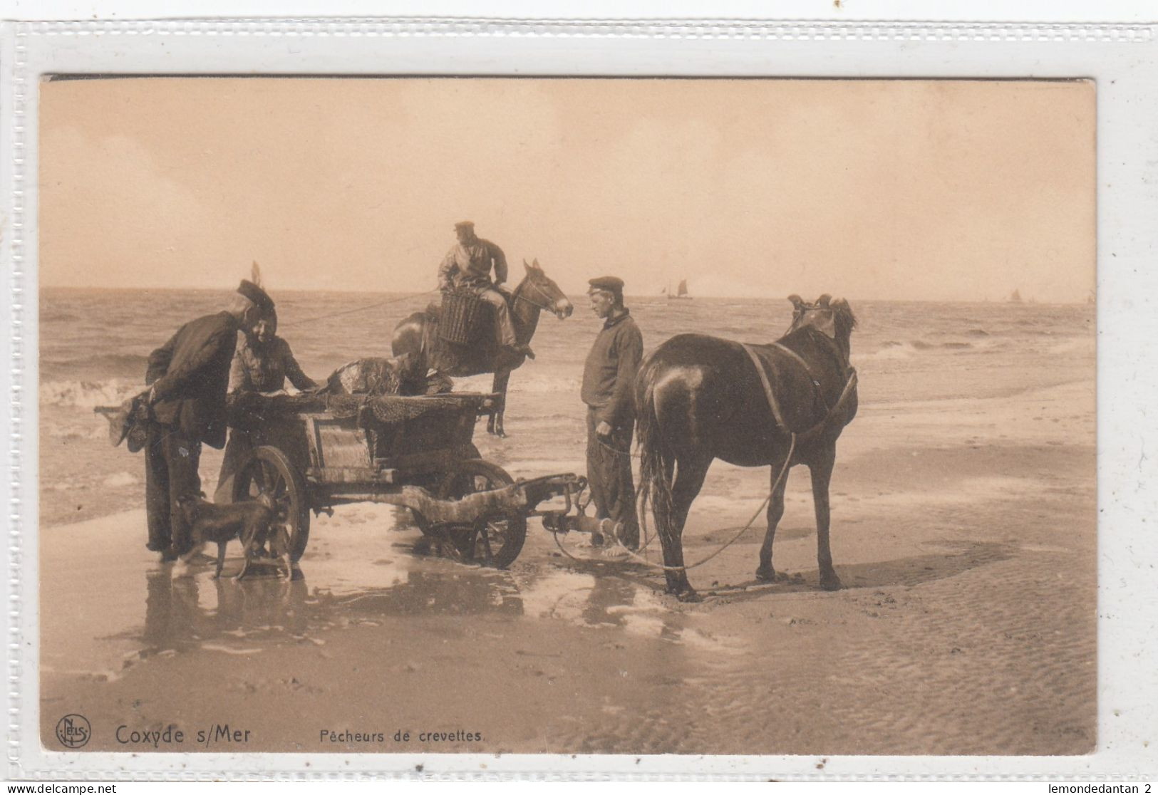 Coxyde S/Mer. Pecheurs De Crevettes. * - Koksijde