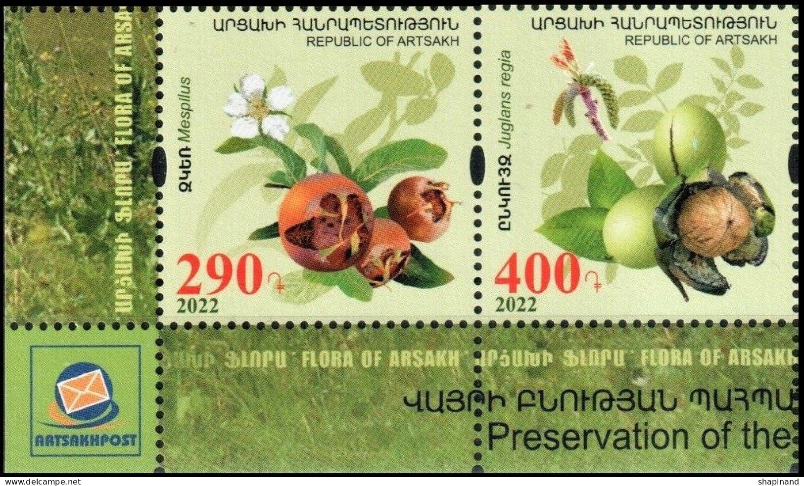 Artsakh 2022 "Flora Of Artsakh.Preservation Of The Widlife.Medlar & Walnut" 2v Zd Quality:100% - Armenië