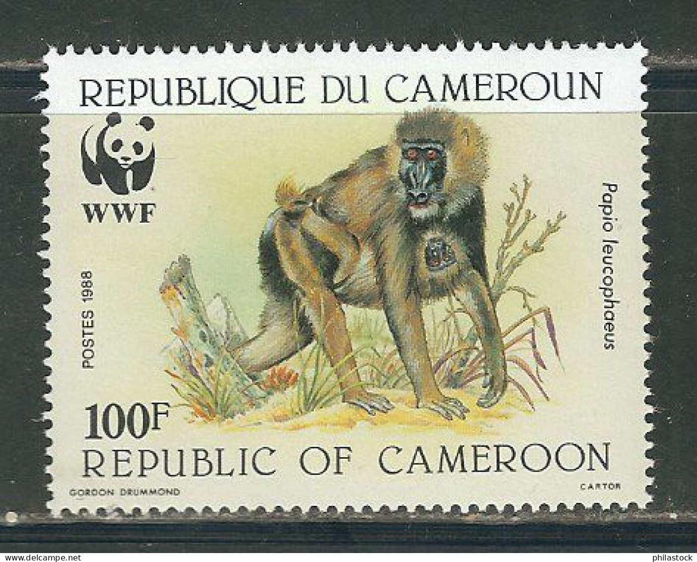 CAMEROUN Lot de timbres poste,+ BF + non-dentelés & épreuves d'artiste dans un classeur du ministère des Postes cameroun