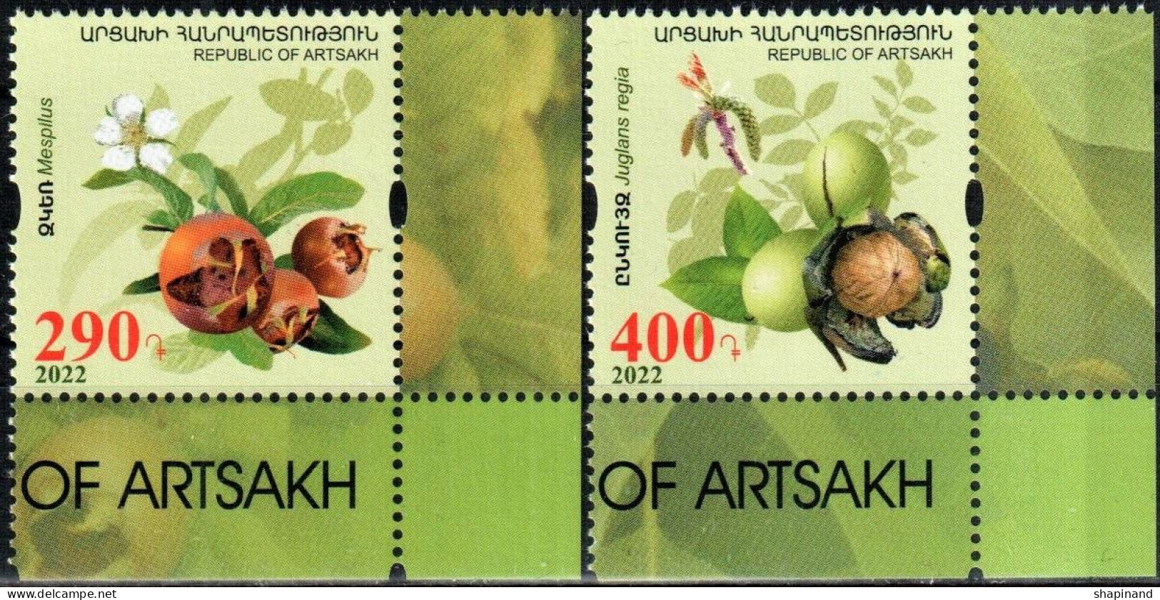 Artsakh 2022 "Flora Of Artsakh.Preservation Of The Widlife.Medlar & Walnut" 2v Quality:100% - Armenia