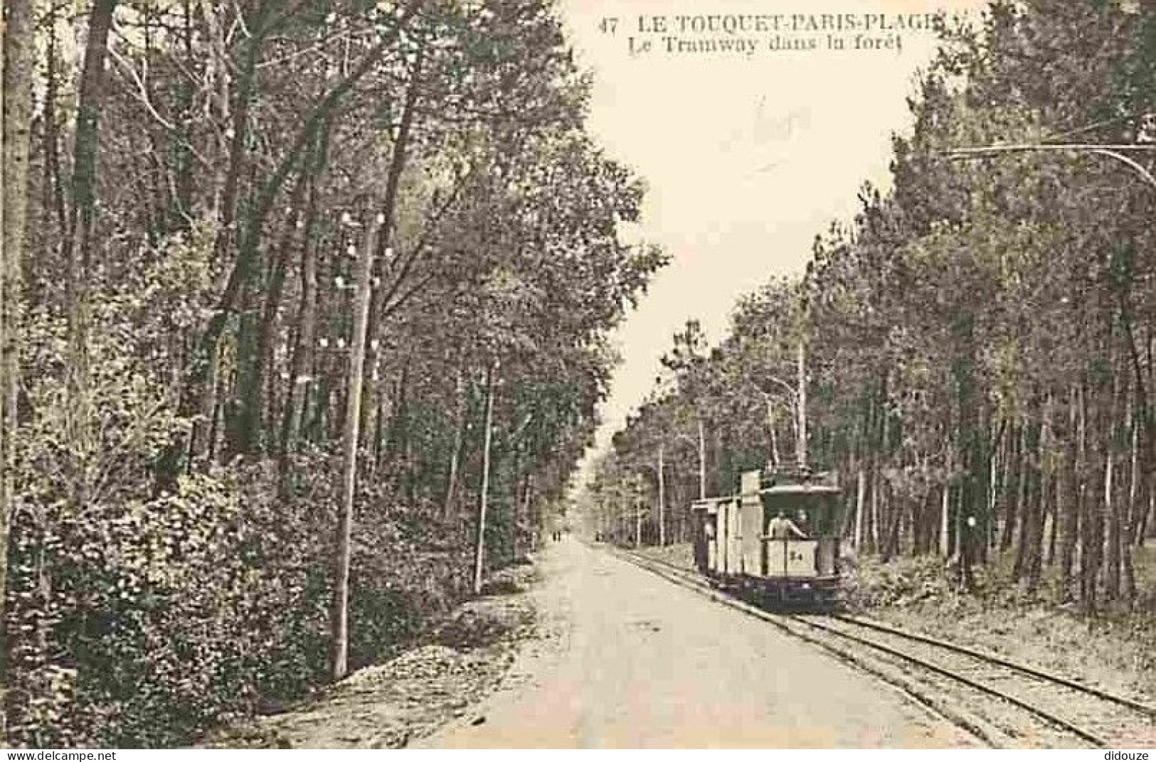 62 - Le Touquet - Le Tramway Dans La Forêt - Animé - Carte Vierge - CPA - Voir Scans Recto-Verso - Le Touquet