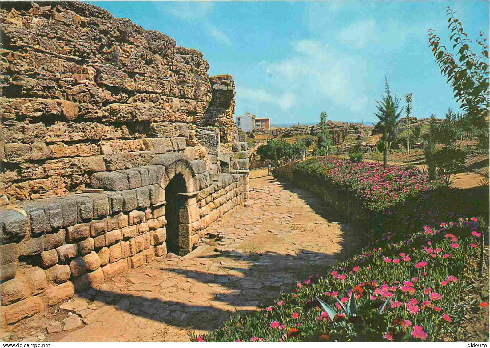 Espagne - Espana - Extramadura - Merida - Teatro Romano - Fachada Posterior Y Calle - Fleurs - CPM - Voir Scans Recto-Ve - Mérida