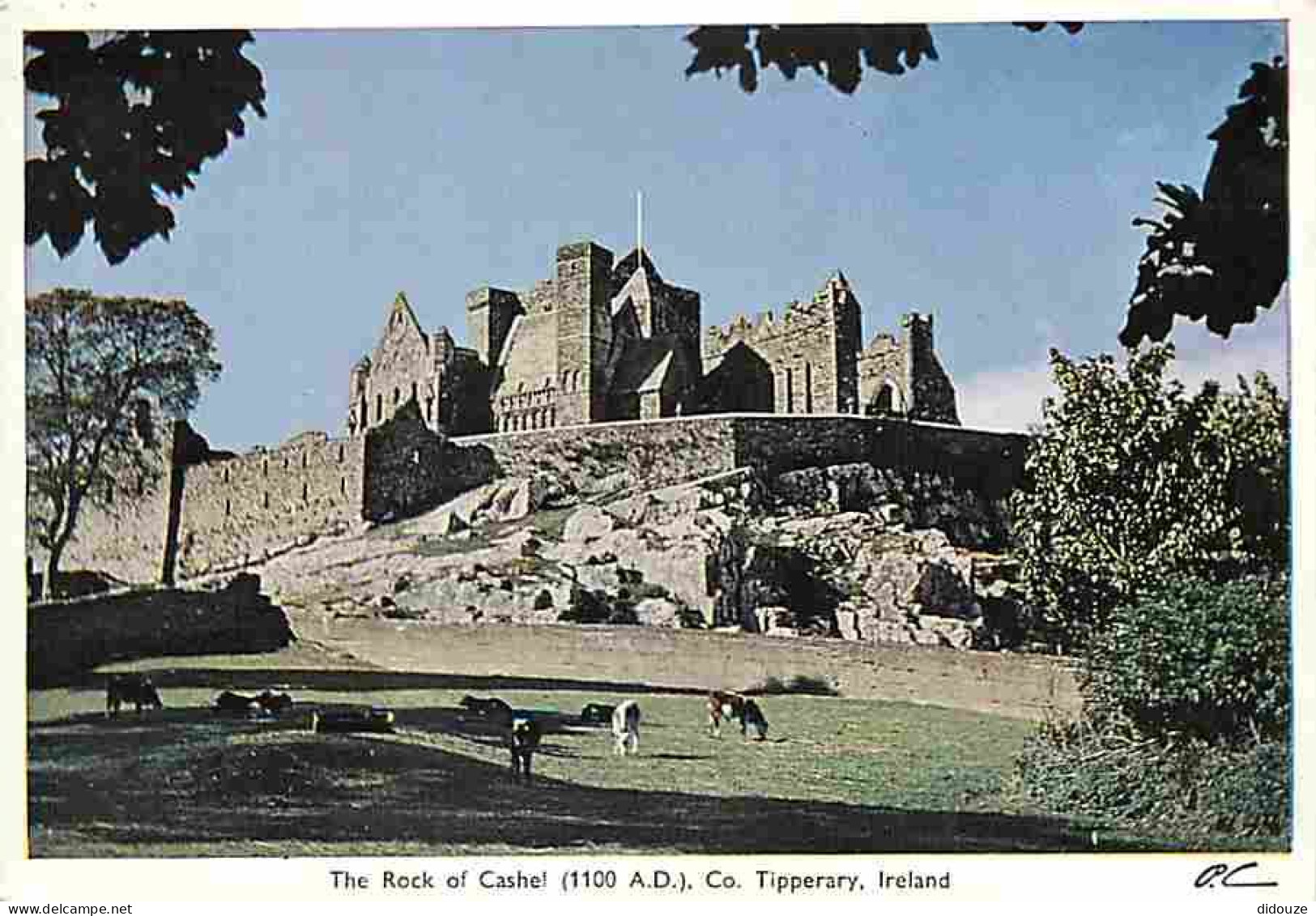 Irlande - Tipperary - The Rock Of Cashel - Châteaux - Vieilles Pierres - Carte Neuve - Ireland - CPM - Voir Scans Recto- - Tipperary