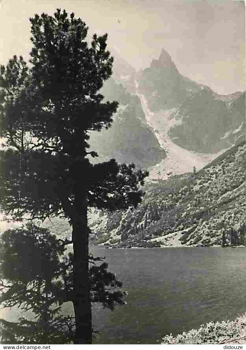 Pologne - Tatry - Mnich Nad Morskim Okiem - Voir Timbre De Pologne - CPM - Voir Scans Recto-Verso - Pologne