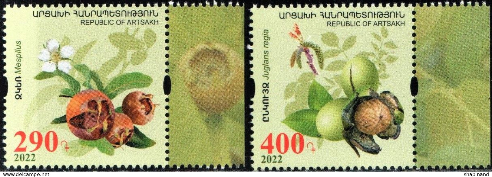 Artsakh 2022 "Flora Of Artsakh.Preservation Of The Widlife.Medlar & Walnut" 2v Quality:100% - Arménie