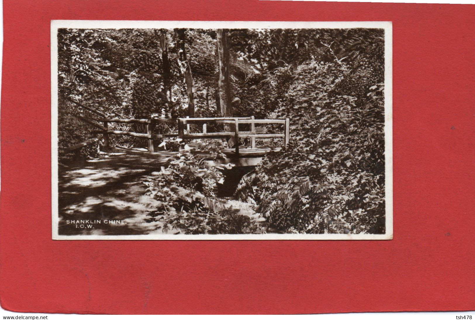 ANGLETERRE--- ISLE OF WIGHT--SHANKLIN CHINE--voir 2 Scans - Shanklin