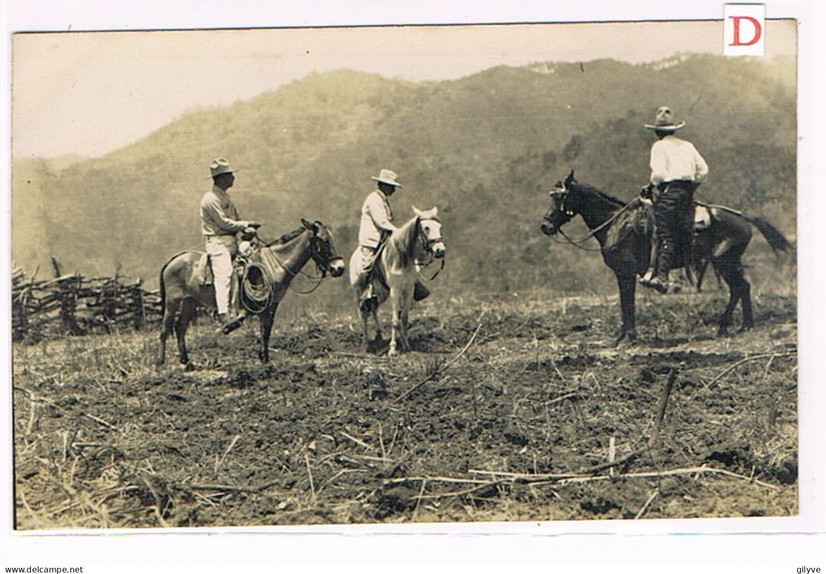 Rare Carte Photo. Mexique. Plantation De Café De San Patricio. Débroussaillement. Mr P.Valéra .Hocquart. Ramirez(011) - Mexico