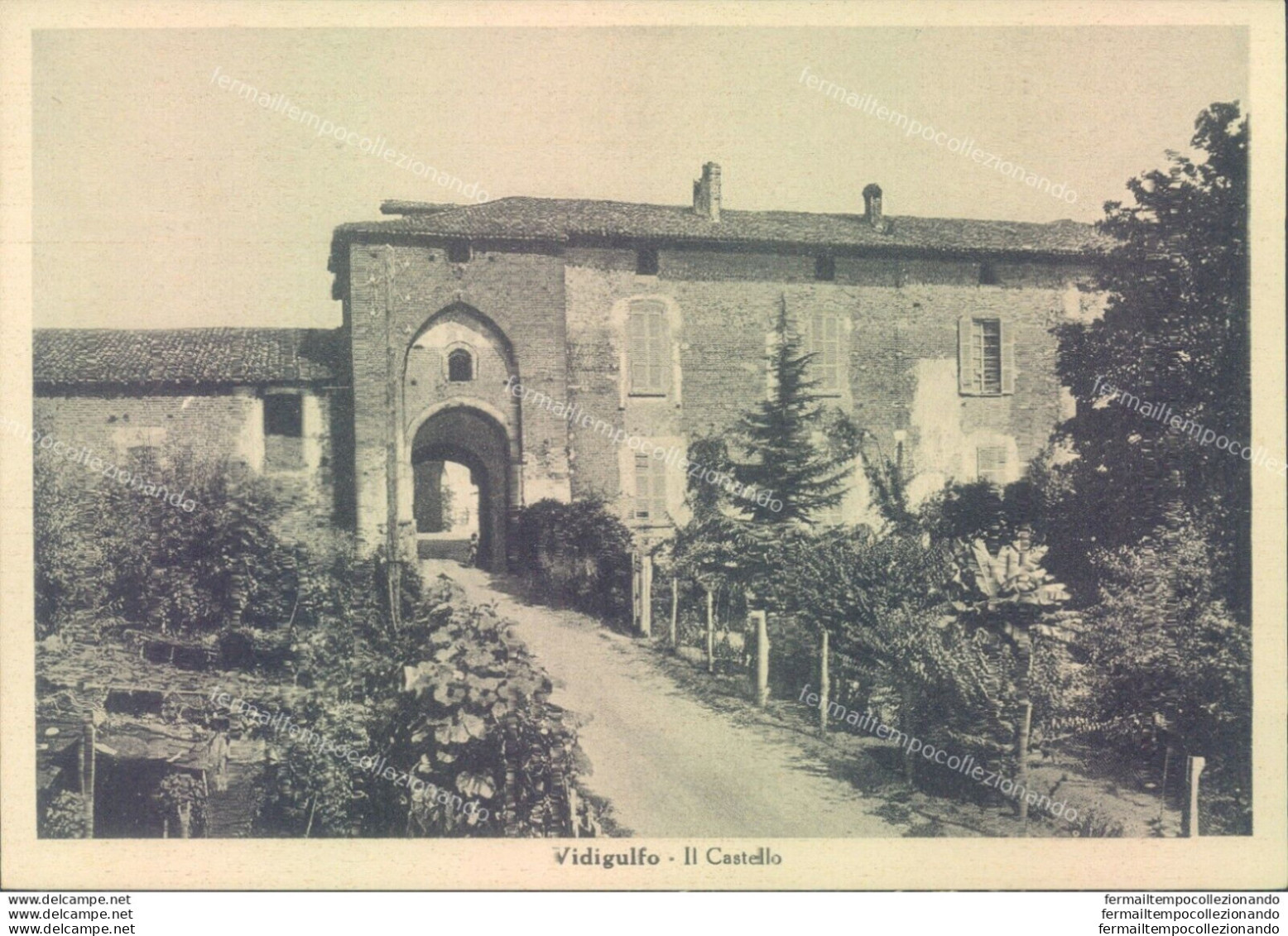 M361 Cartolina Vidigulfo Via Il Castello Provincia Di Pavia - Pavia