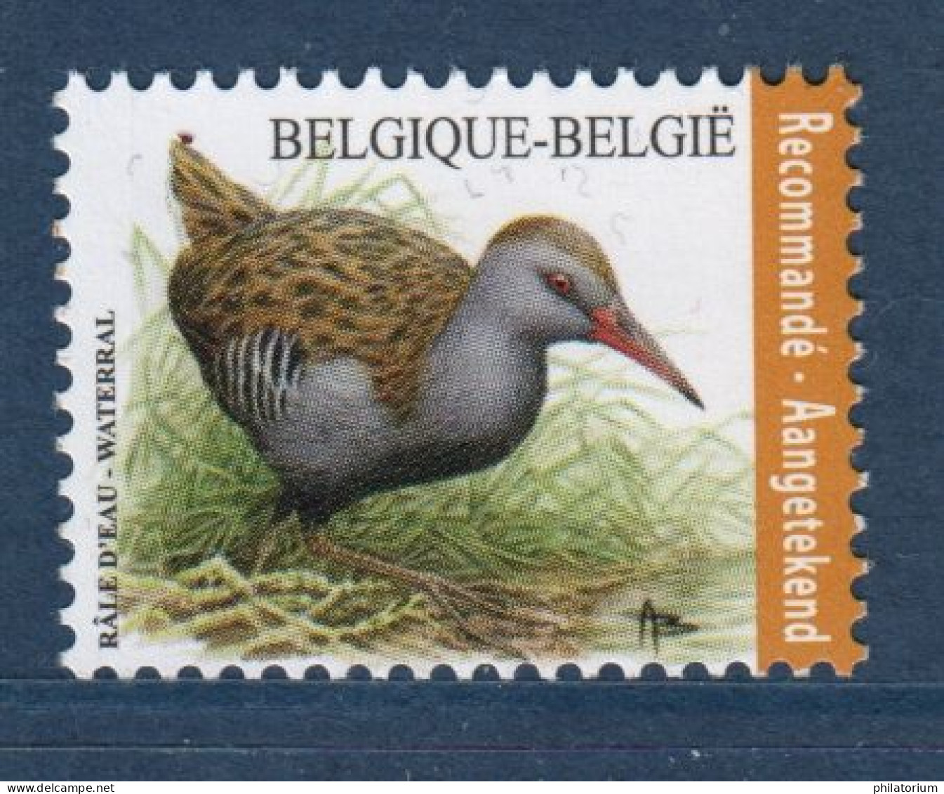 Belgique, België, **, Yv 4641, Mi 4717, Bel 4671, AFA 4782,  Râle D'eau (Rallus Aquaticus) - Nuovi