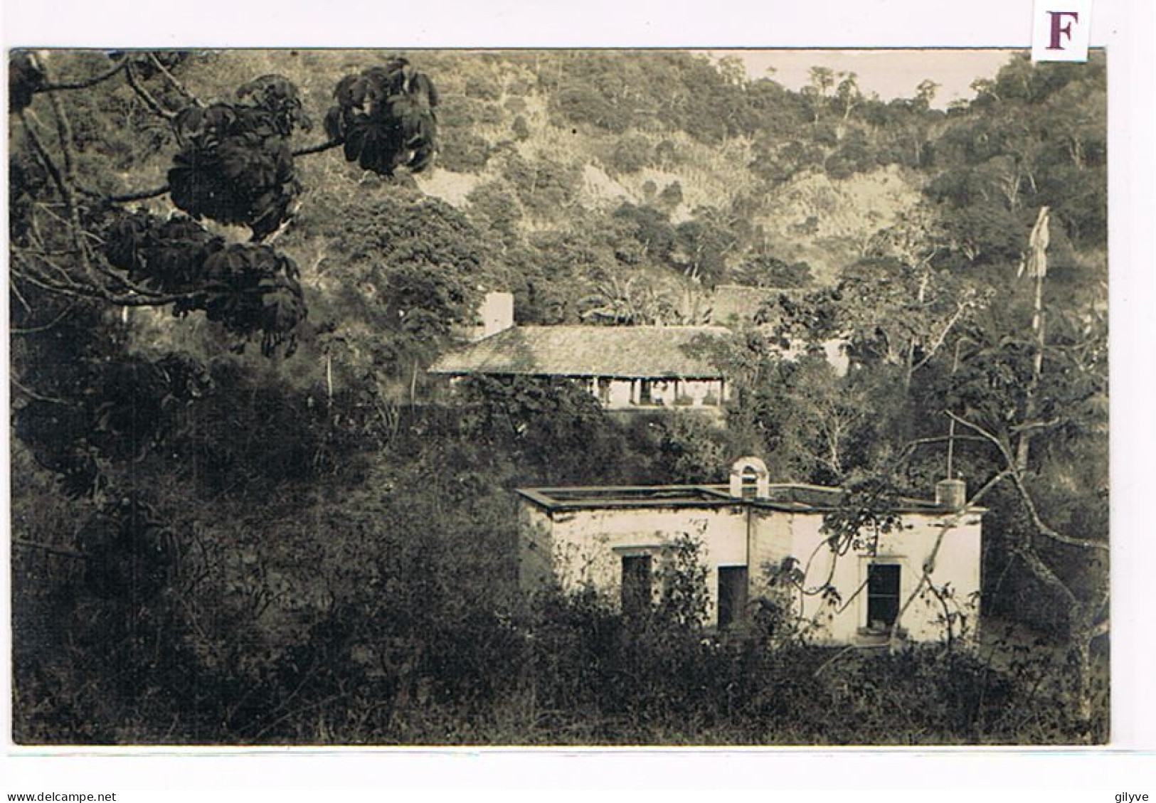 Rare Carte Photo. Mexique. Plantation De Café De San Patricio. L'école Et Les Bureaux. (013) - Cultivation