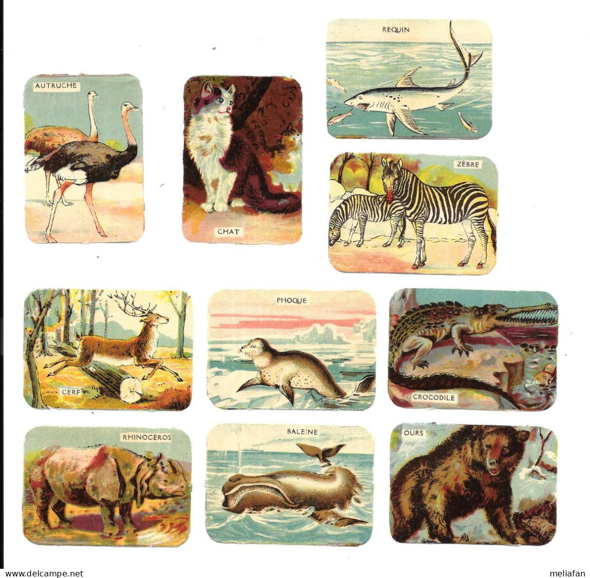 EA43 - BON POINTS RICQLES - ZEBRE REQUIN OURS CERF CHAT PHOQUE BALEINE RHINOCEROS AUTRUCHE CROCODILE - Diplomi E Pagelle