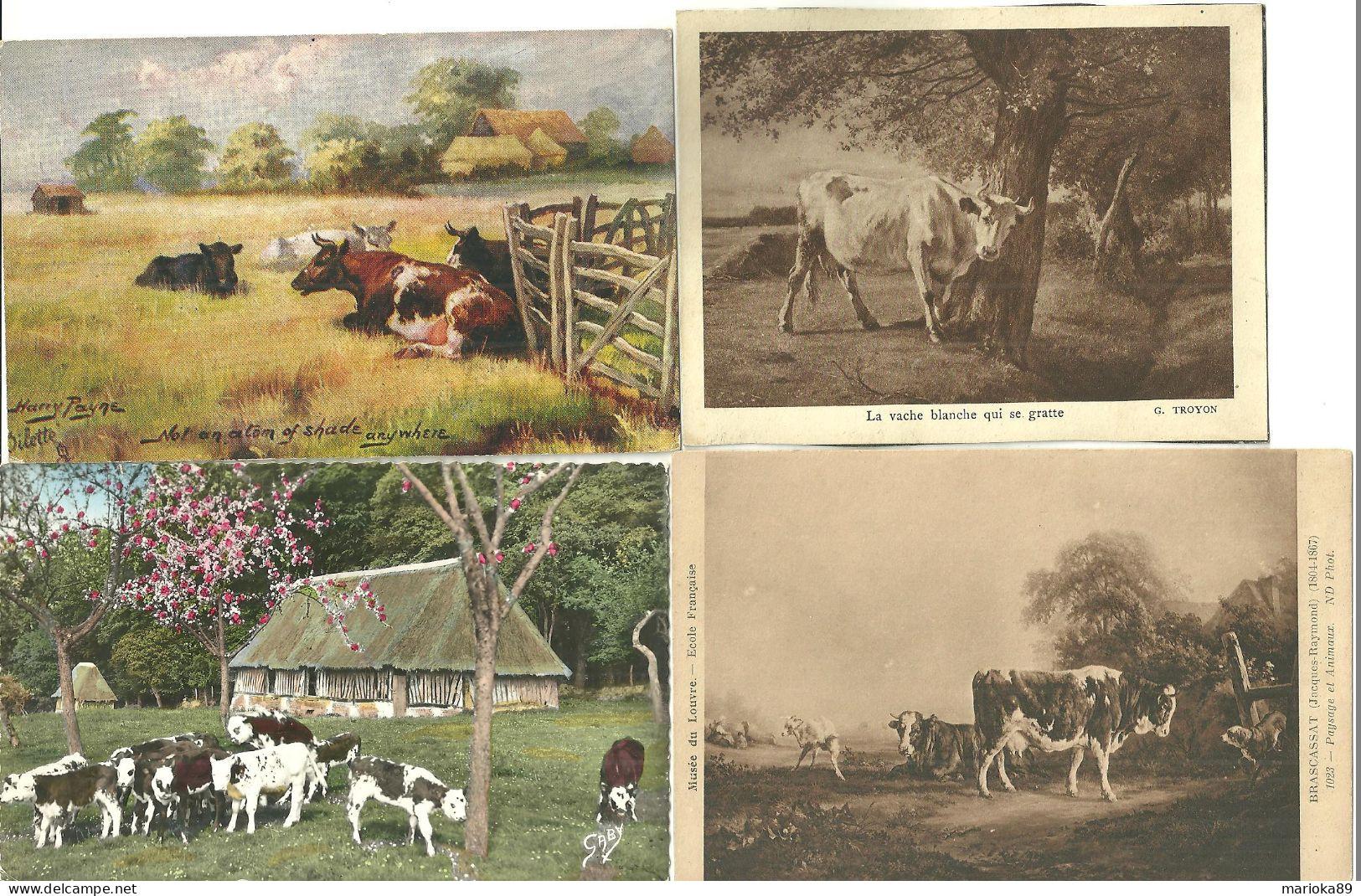 LOT 16 CPA/CPM + 3 IMAGES VACHES - Vaches