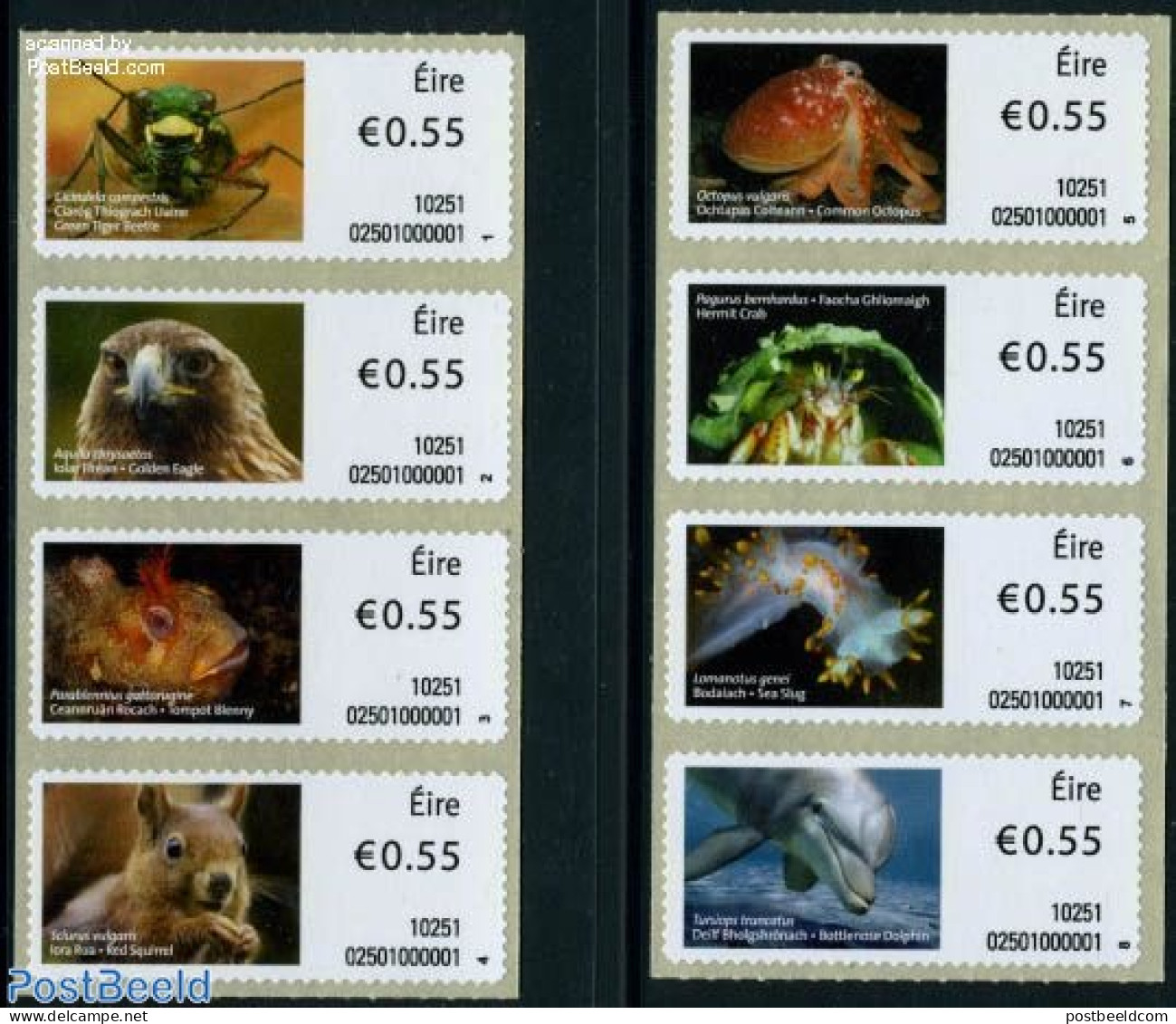 Ireland 2010 Automat Labels, Animals 8v, Mint NH, Nature - Animals (others & Mixed) - Fish - Insects - Sea Mammals - A.. - Nuovi