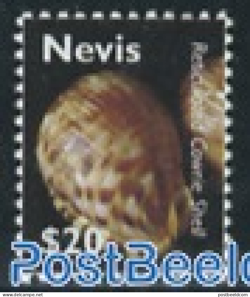 Nevis 2007 Definitive, Shell 1v ($20), Mint NH, Nature - Shells & Crustaceans - Marine Life