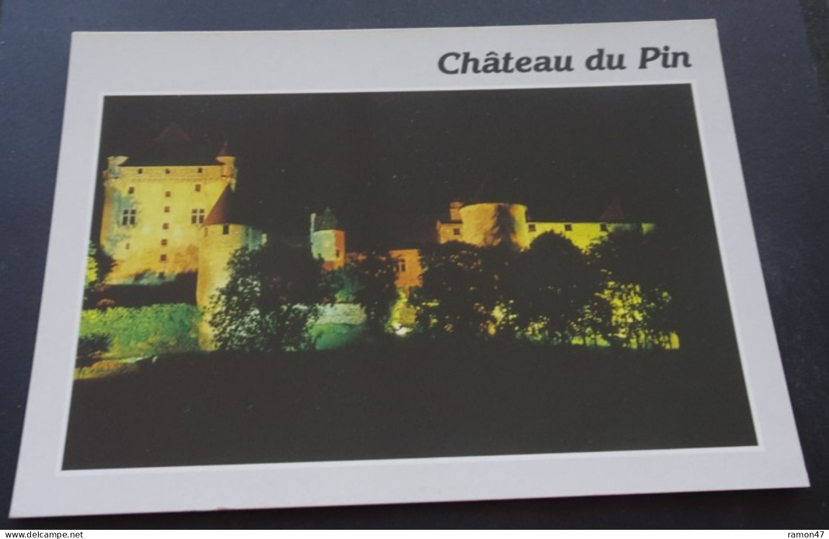 Château Du Pin (Jura) - Editions Et Impressions Combier/Mâcon (CIM) - Castles