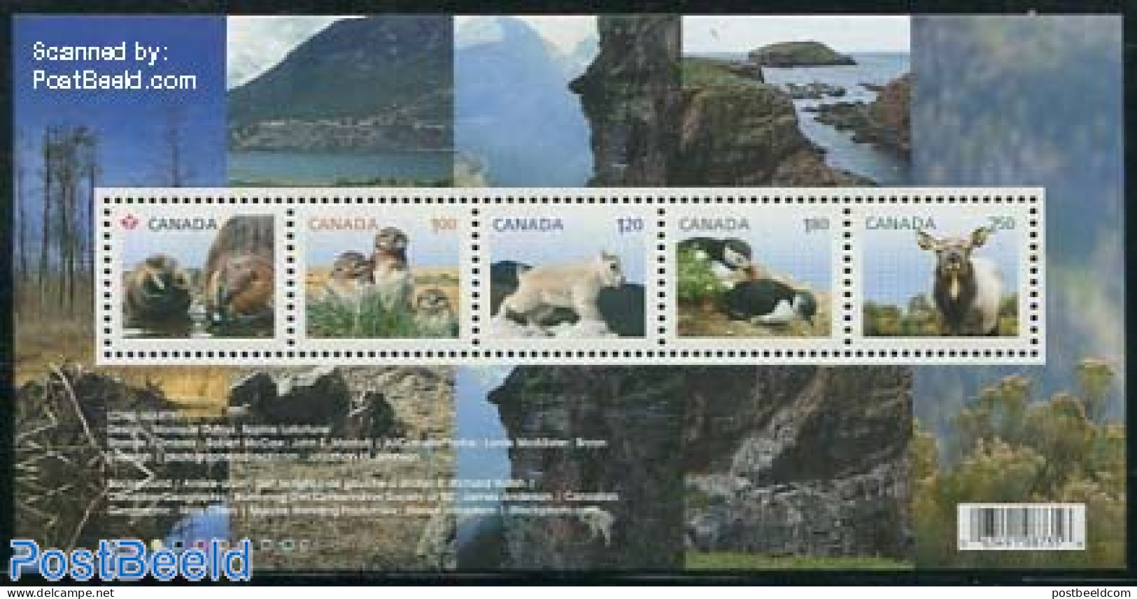 Canada 2014 Young Animals 5v M/s, Mint NH, Nature - Animals (others & Mixed) - Birds - Nuevos