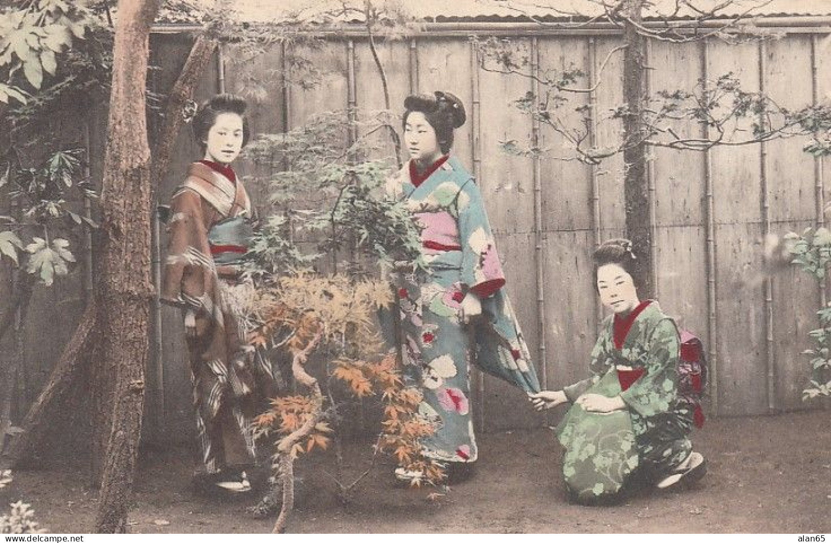Japanese Women Kimono With Trees C1900s/10s Vintage Postcard - Andere & Zonder Classificatie