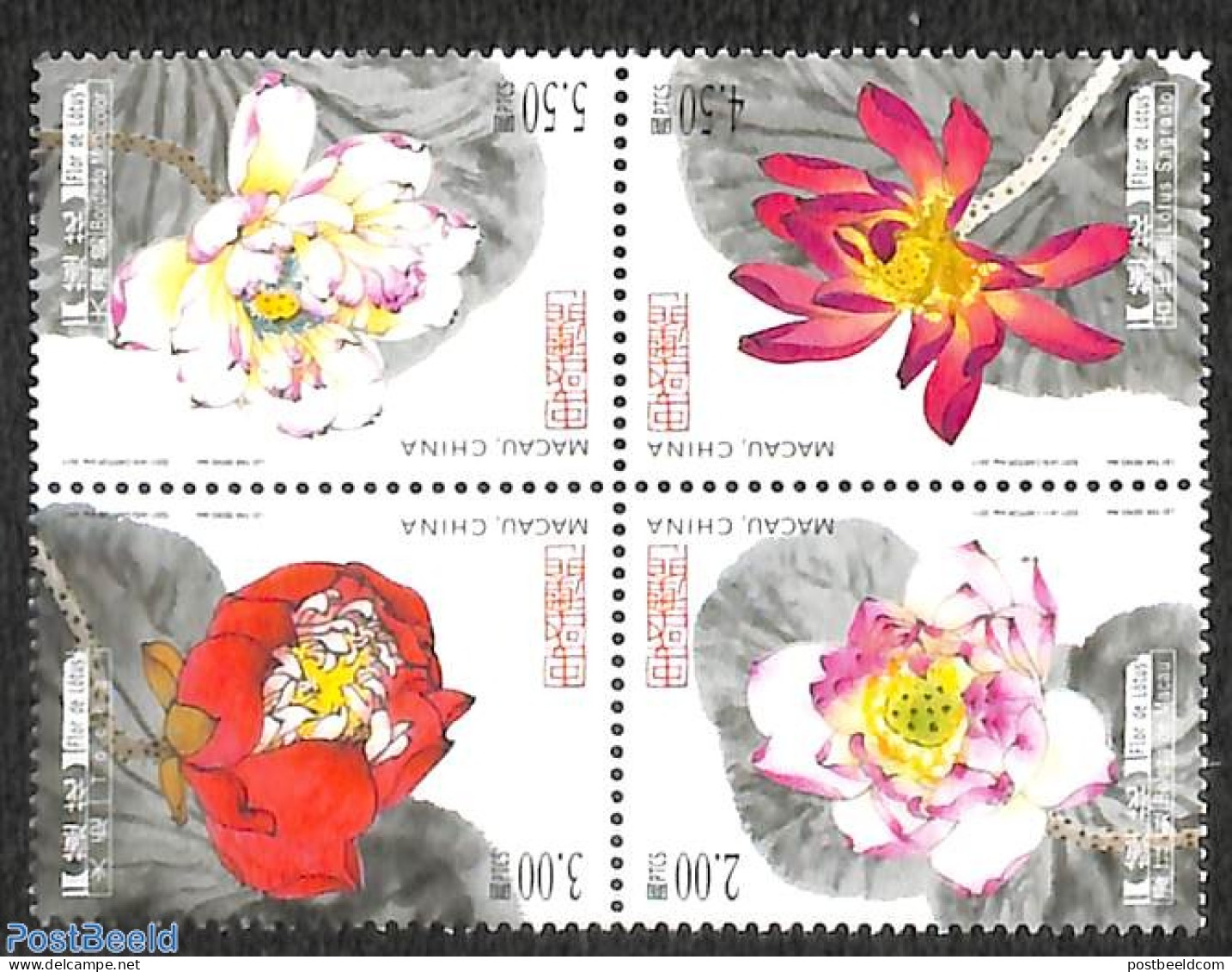 Macao 2017 Lotus Flowers 4v [+], Mint NH, Nature - Flowers & Plants - Ongebruikt