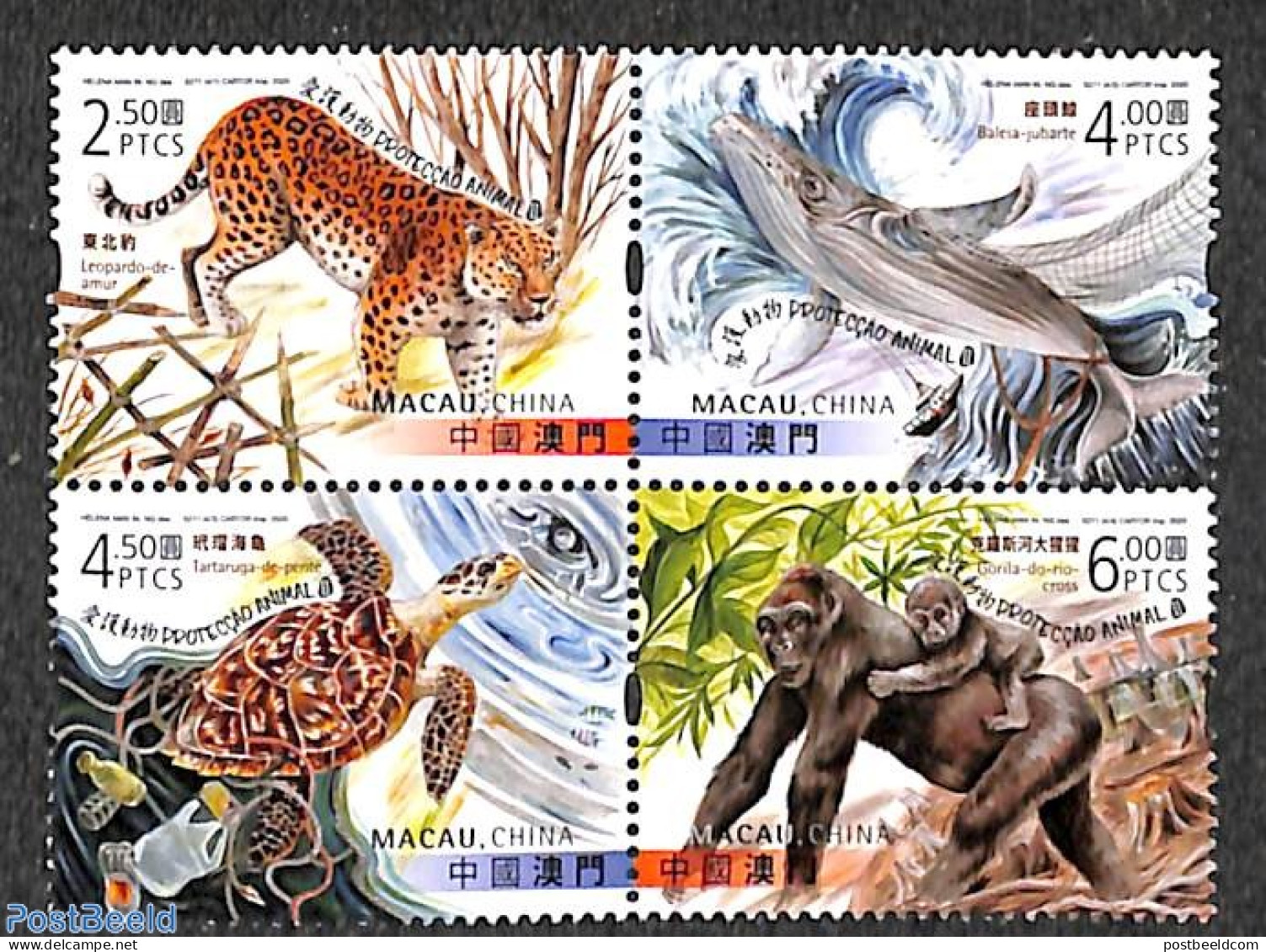 Macao 2020 Animal Protection 4v [+], Mint NH, Nature - Animals (others & Mixed) - Cat Family - Monkeys - Sea Mammals -.. - Unused Stamps