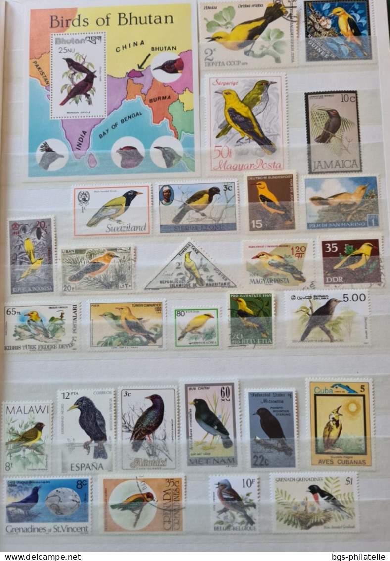 Collection De Timbres Sur Le Thème Des Oiseaux. - Collections (without Album)