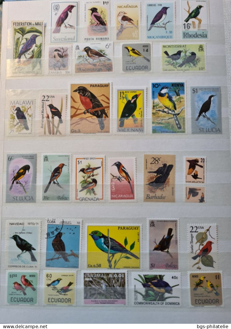 Collection De Timbres Sur Le Thème Des Oiseaux. - Colecciones (sin álbumes)