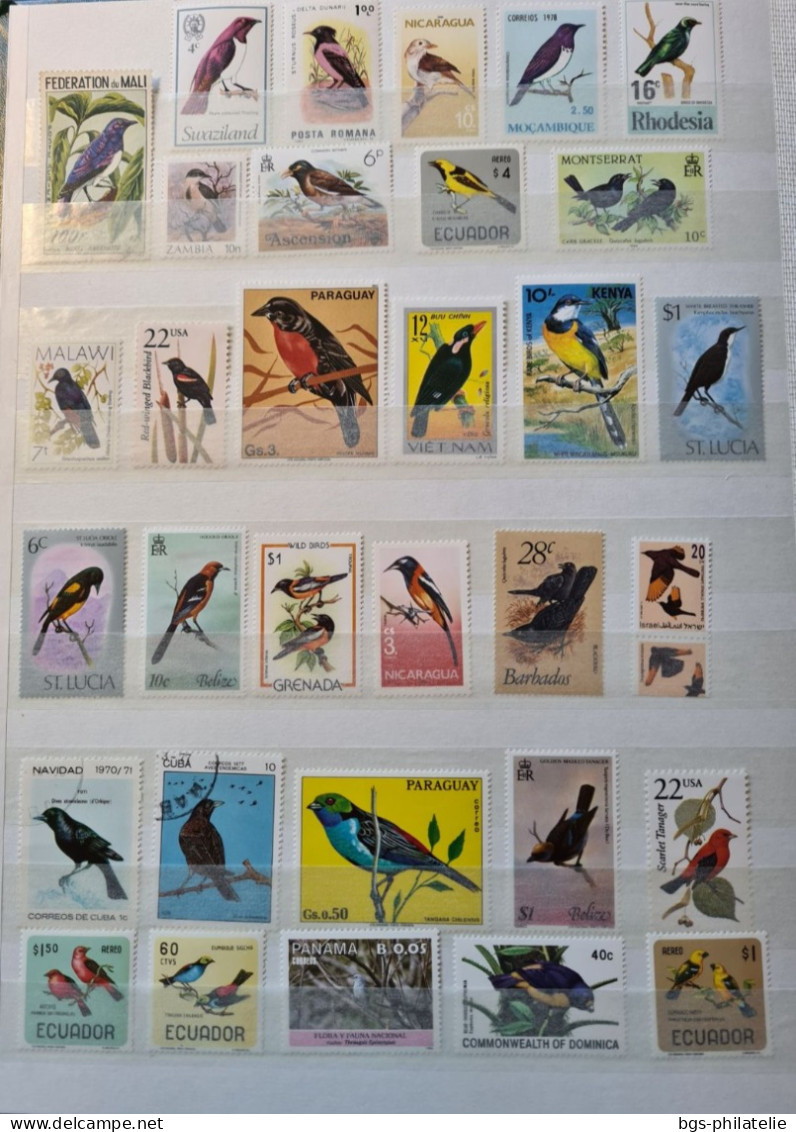 Collection De Timbres Sur Le Thème Des Oiseaux. - Collezioni (senza Album)