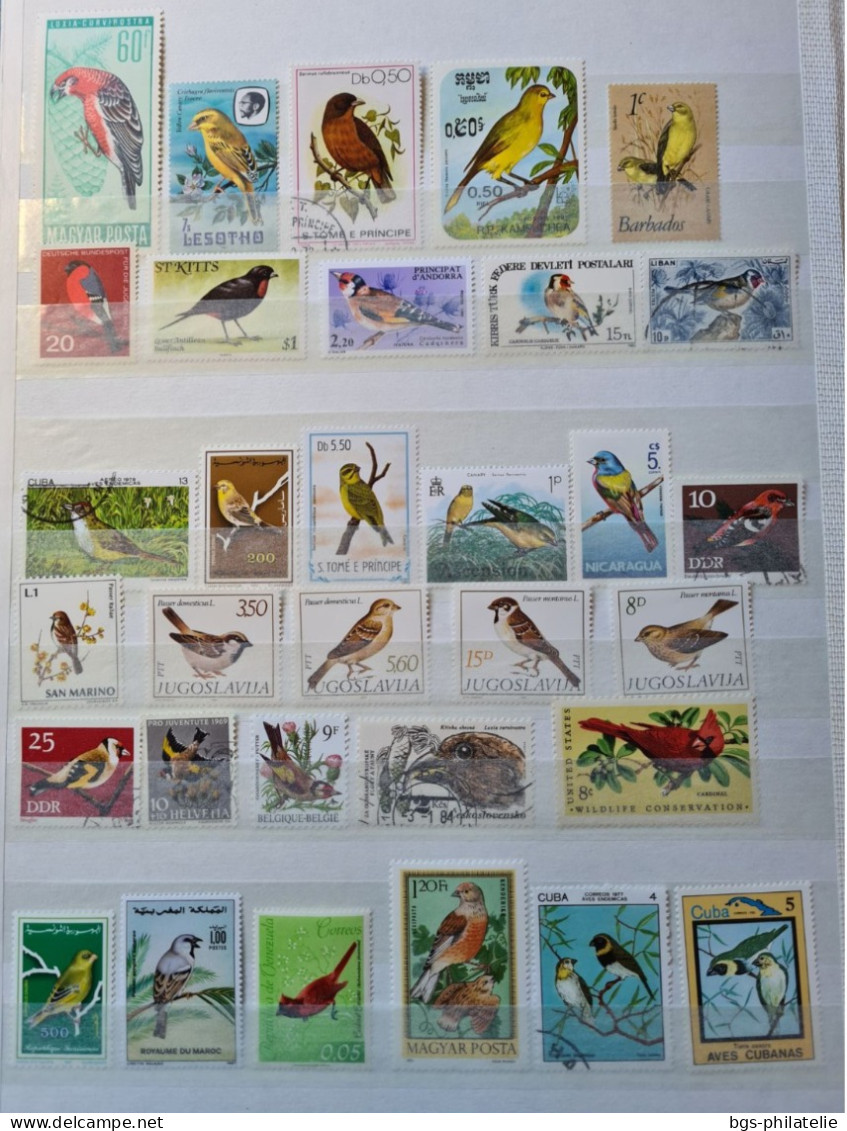 Collection De Timbres Sur Le Thème Des Oiseaux. - Collections (sans Albums)