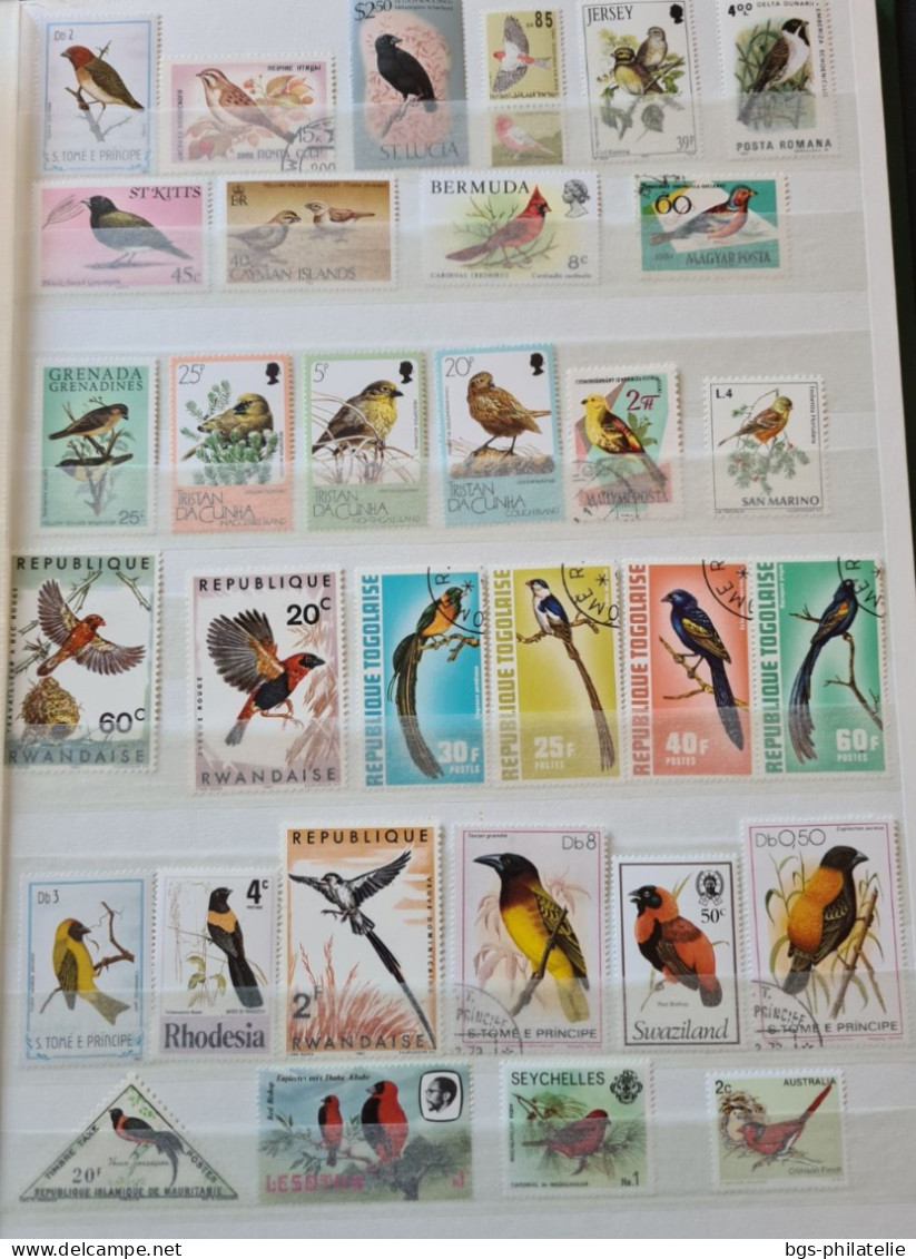 Collection De Timbres Sur Le Thème Des Oiseaux. - Collections (sans Albums)