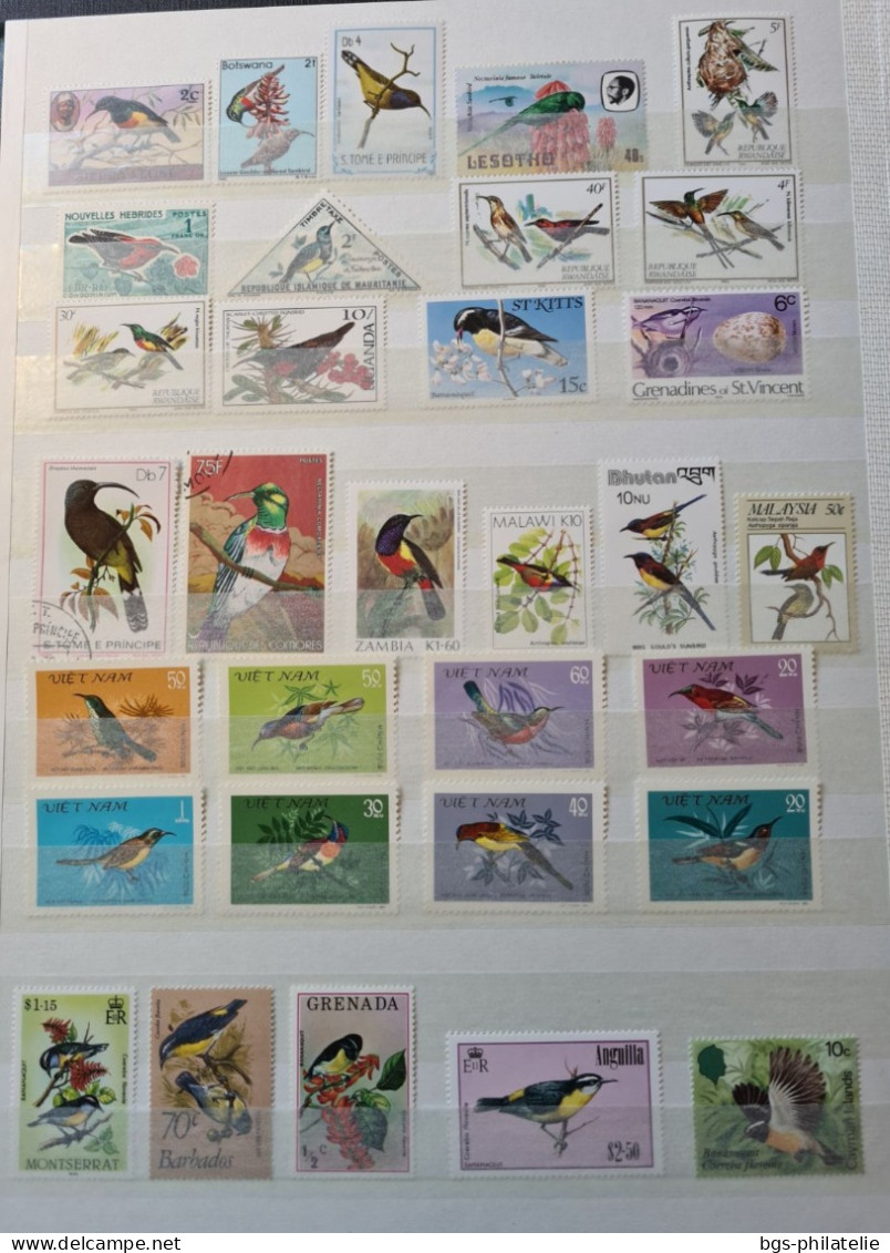 Collection de timbres sur le thème des Oiseaux.