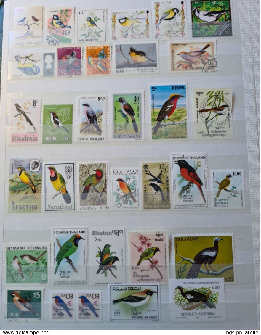 Collection de timbres sur le thème des Oiseaux.