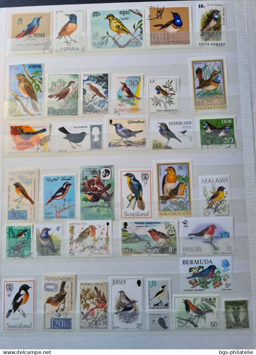 Collection de timbres sur le thème des Oiseaux.